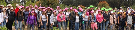 Imagen de ejemplo