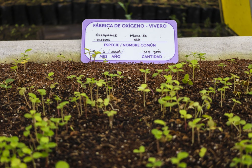 vivero01-min