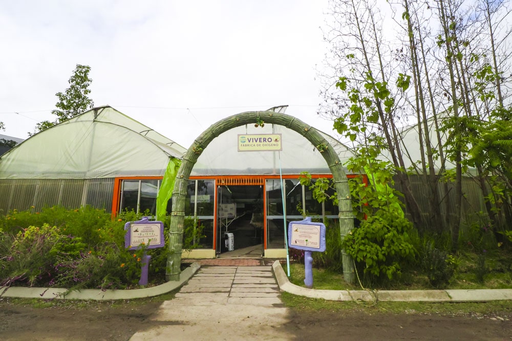 vivero06-min
