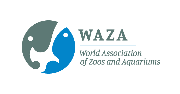 waza