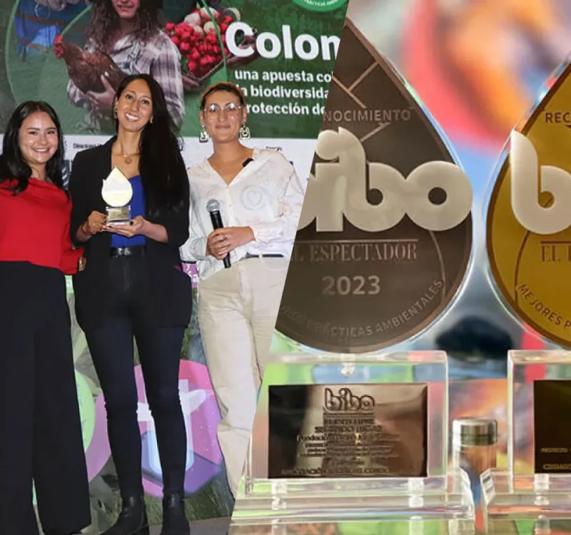 Noticia---Premios-bibo-2024