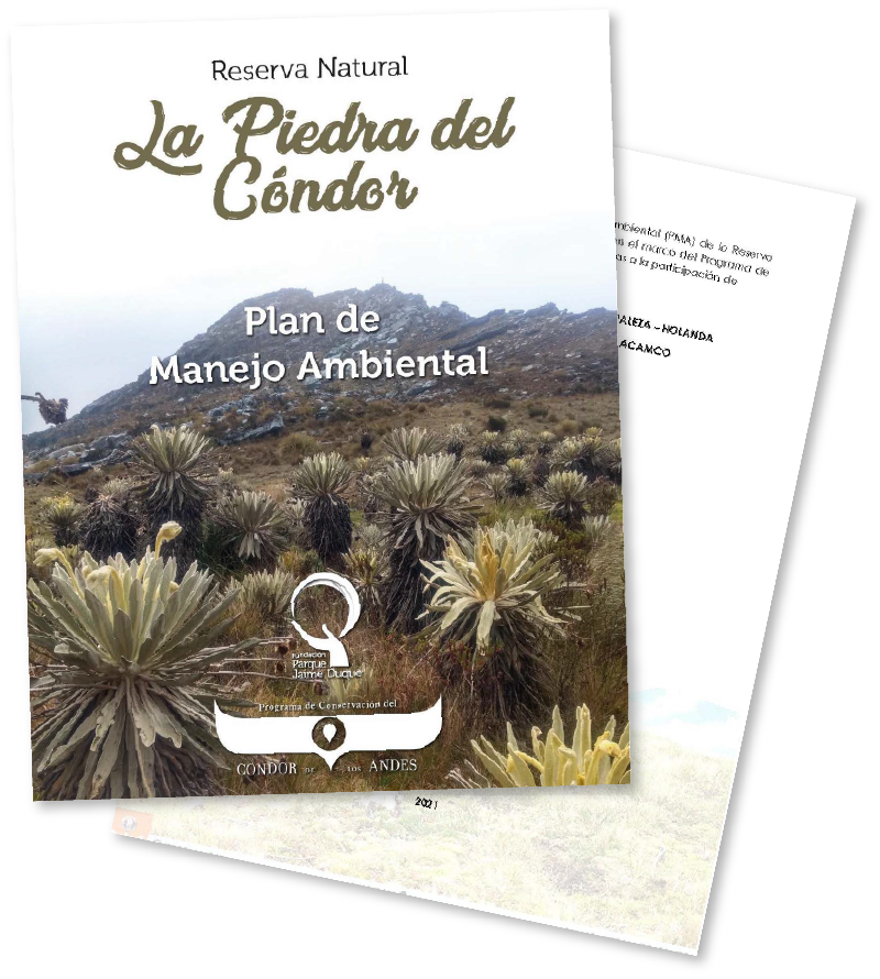 PMA Piedra del Cóndor