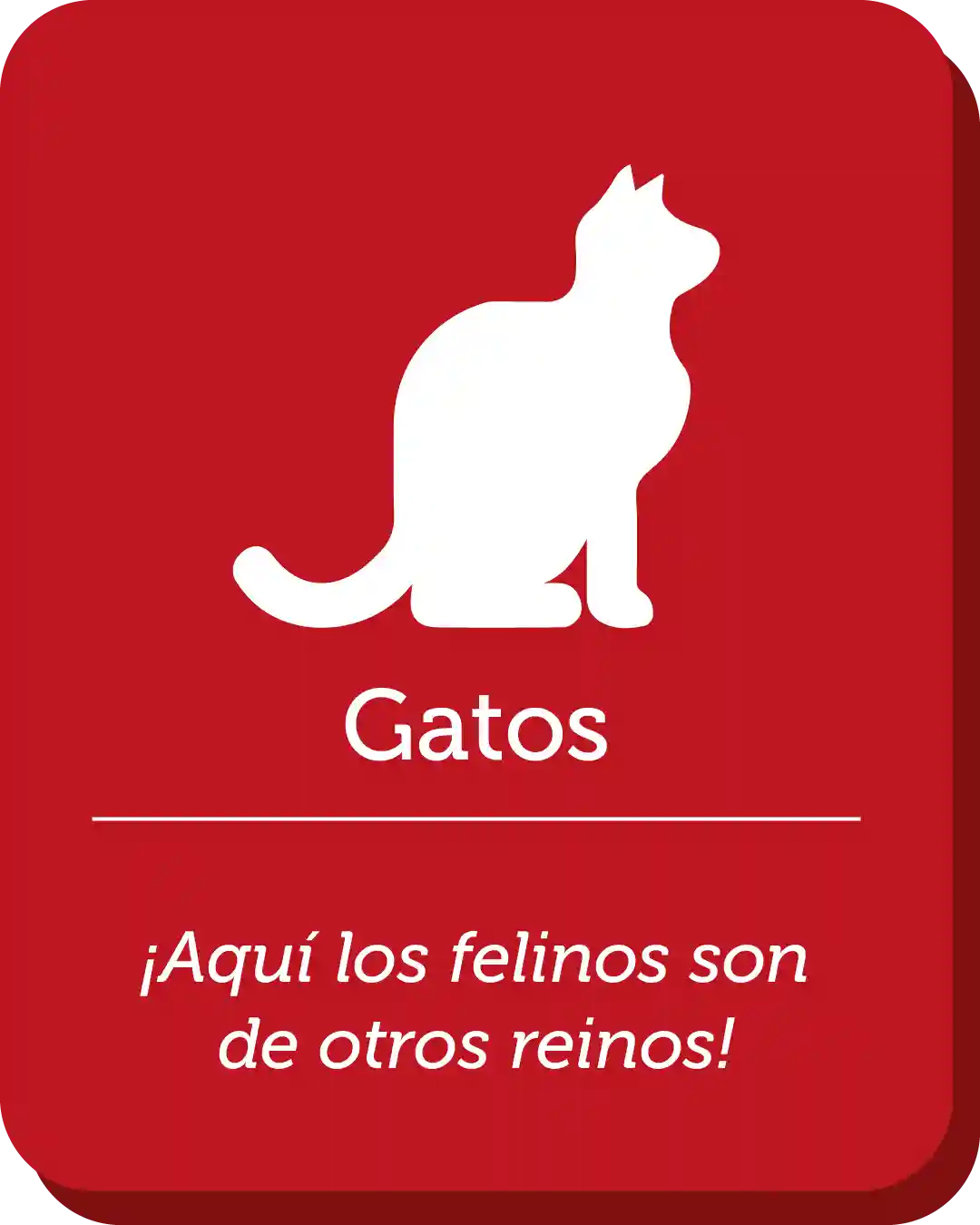 no se permite el ingreso de gatos al parque