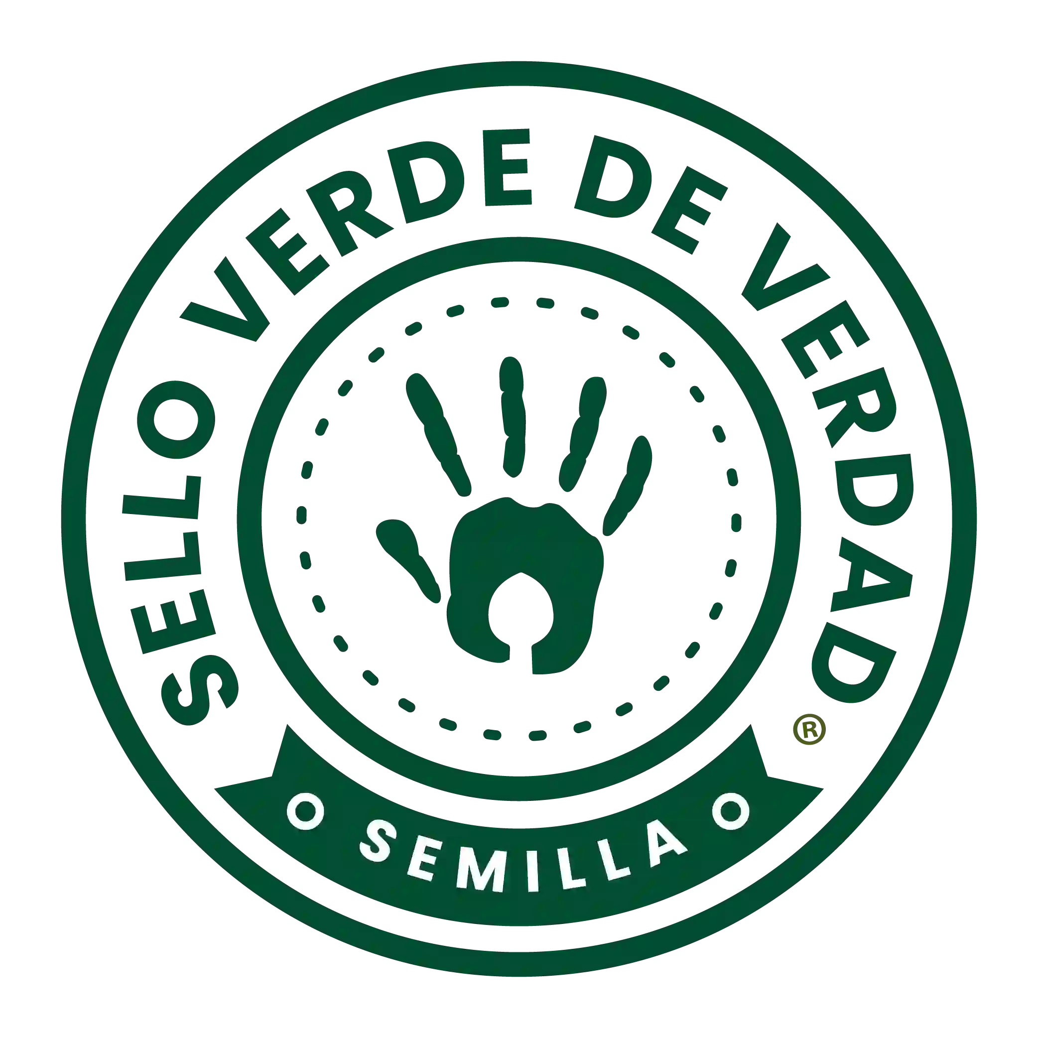 SVDV Semilla (3)