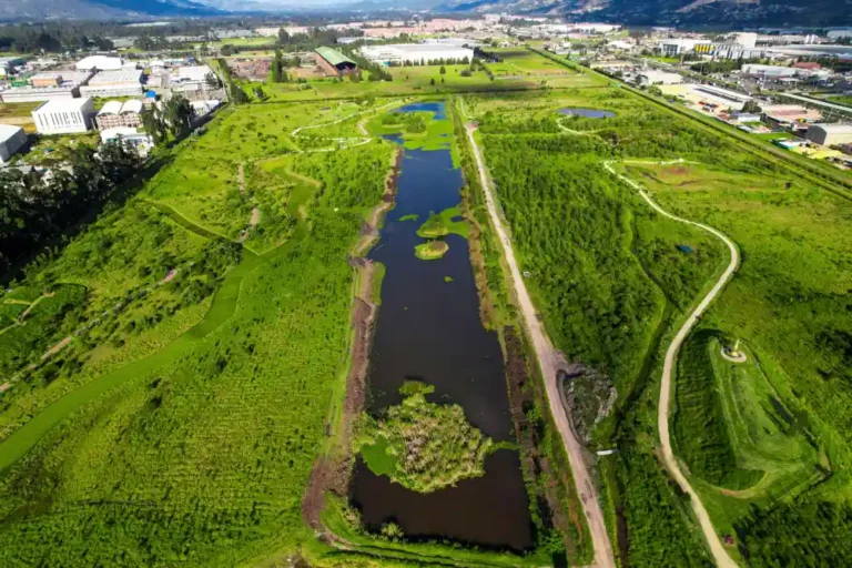 DJI_0349