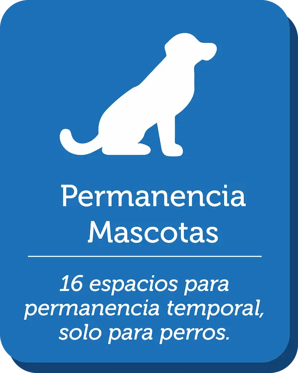 Ícono de perro indicando 16 espacios disponibles para permanencia temporal de mascotas