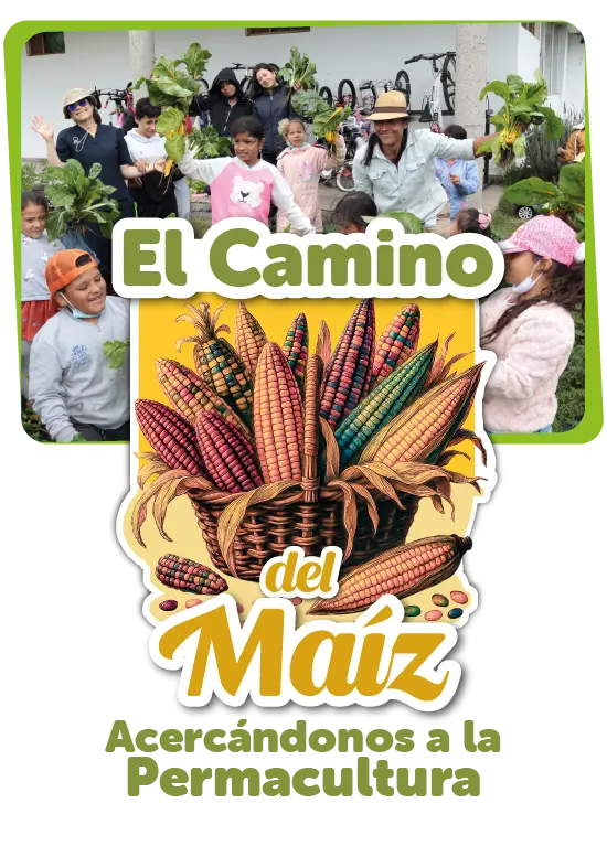 experiencia educativa especializada el camino del maiz