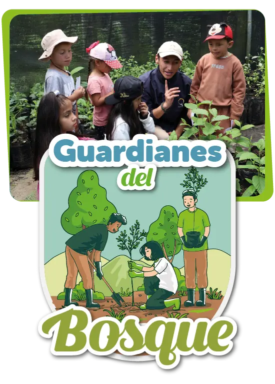 experiencia educativa especializada guardianes del bosque