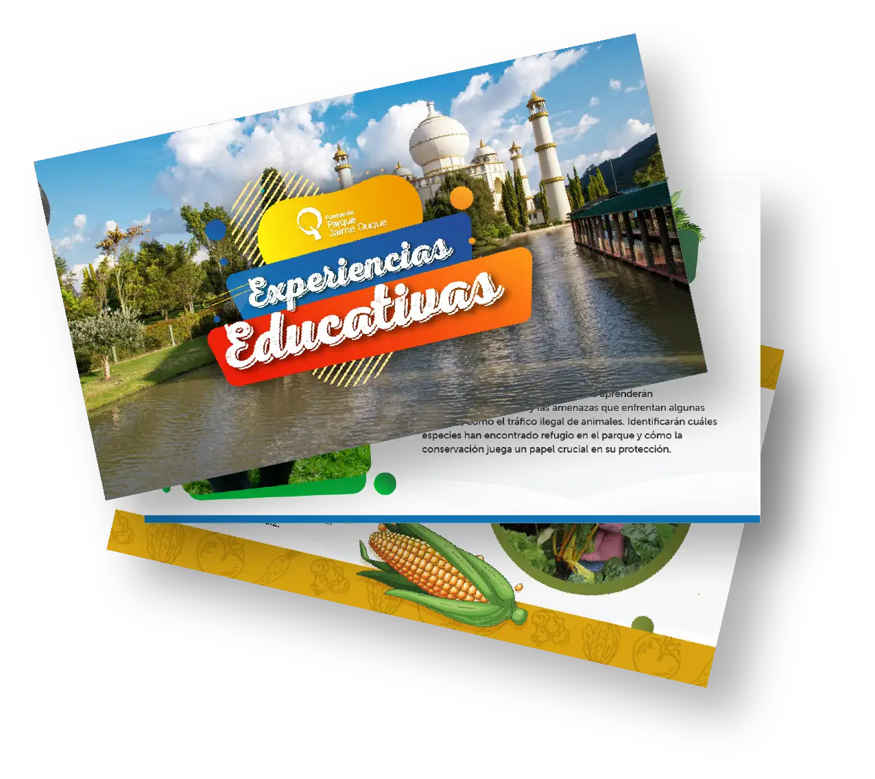 documento Experiencias escolares