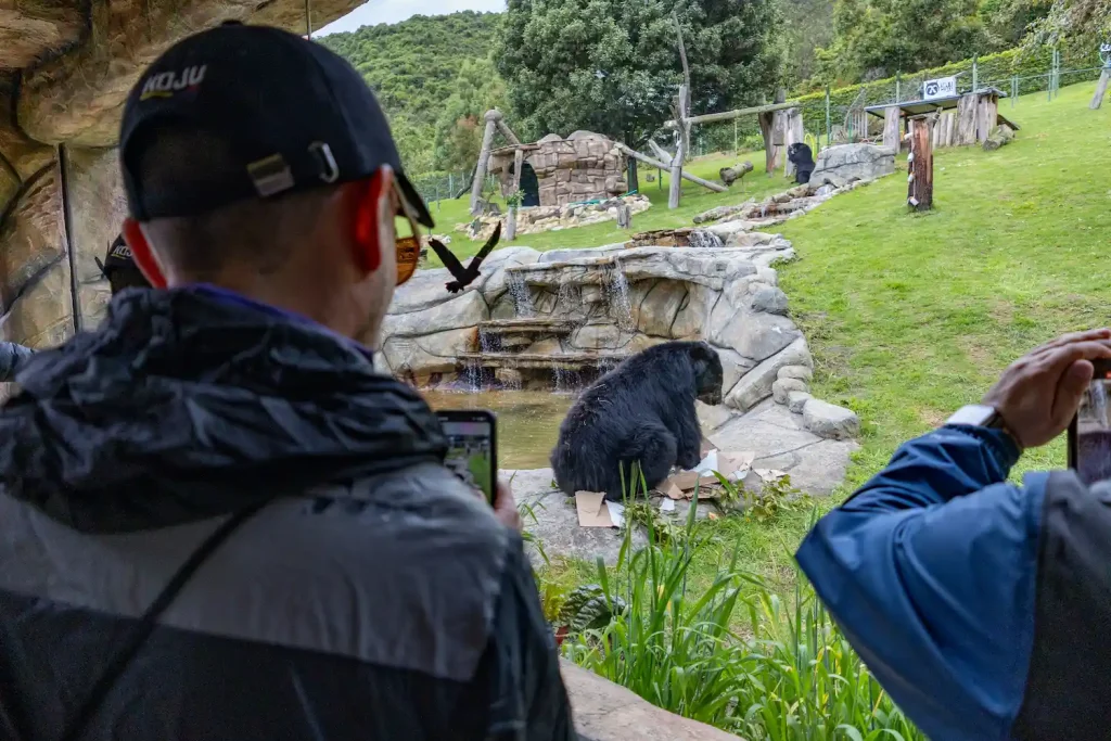 Miembros Koju Motos en bioparque, recinto de osos de anteojos