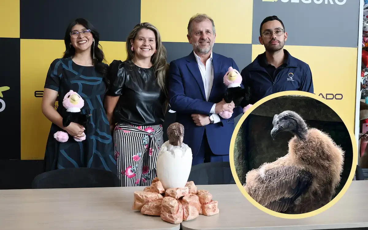 portada noticia rafiki aeropuerto el dorado padrino