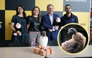 portada noticia rafiki aeropuerto el dorado padrino