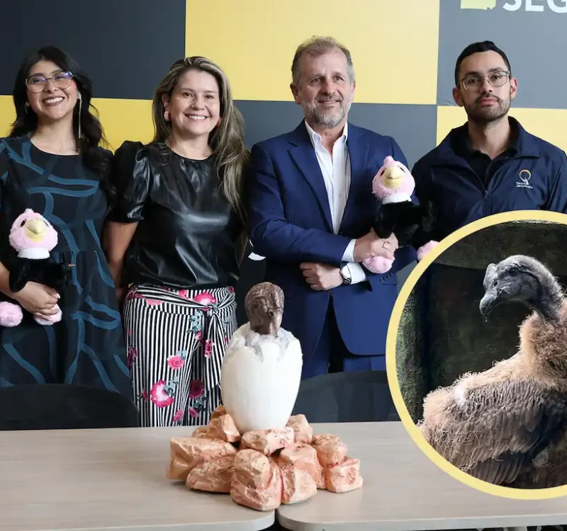 portada noticia rafiki aeropuerto el dorado padrino