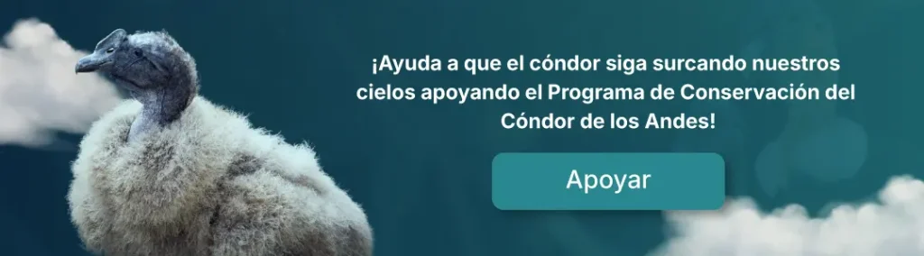 Banner-apoyar-programa-condor-1