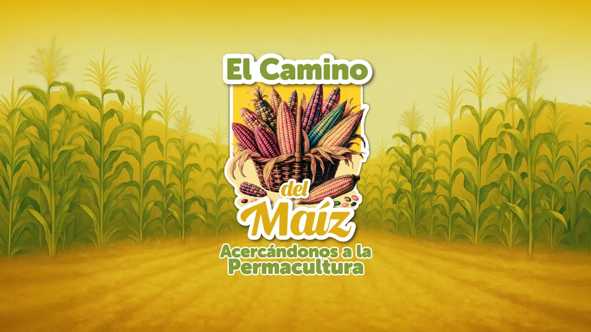 El Camino del Maíz