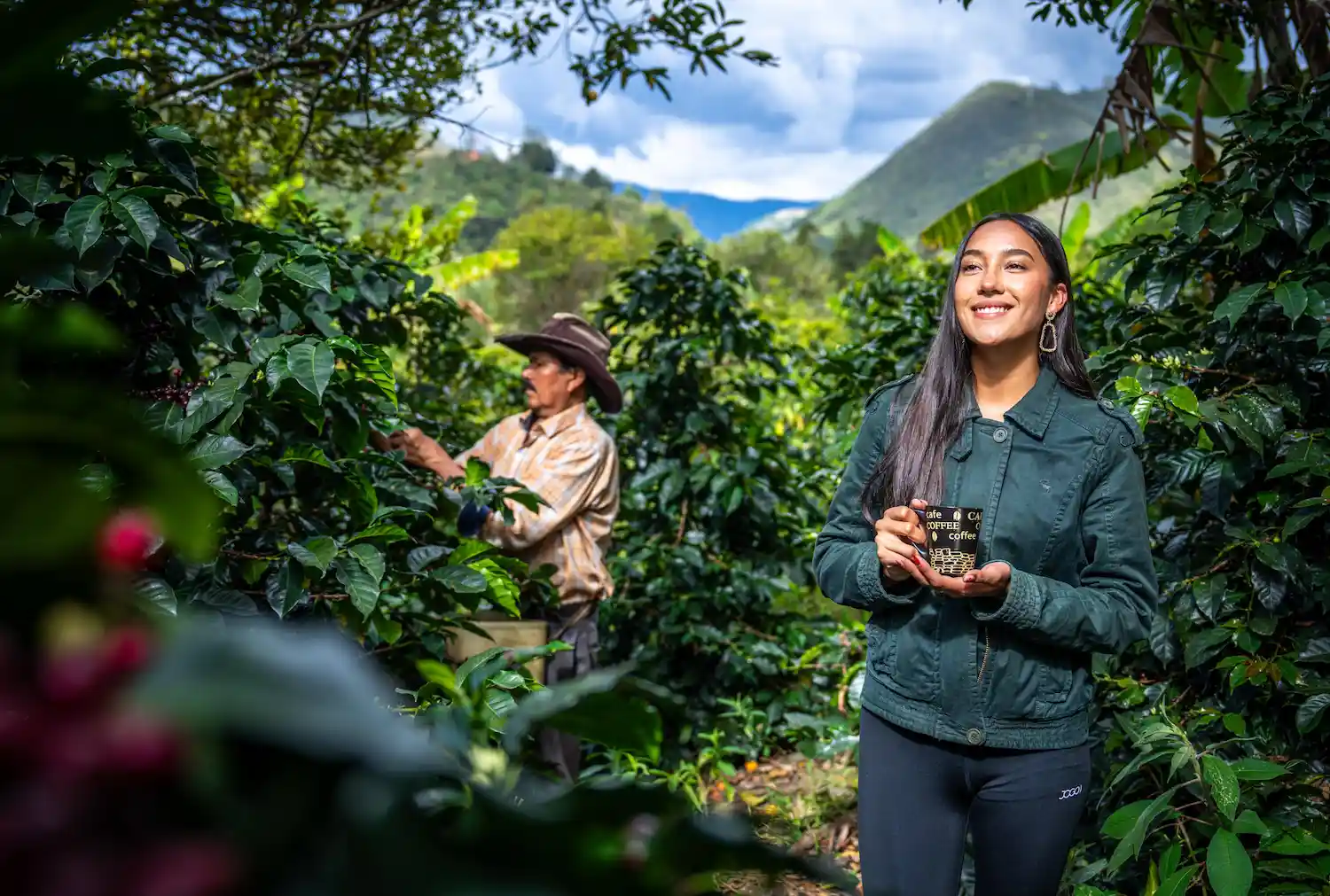 Cafetales, Eje Cafetero | Foto: Fontur