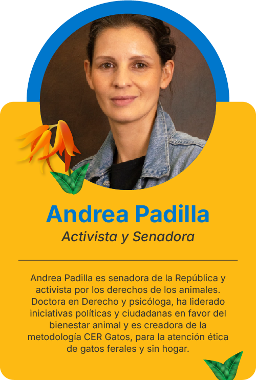 Tarjetas Conferensistas ALPZAAndrea Padilla