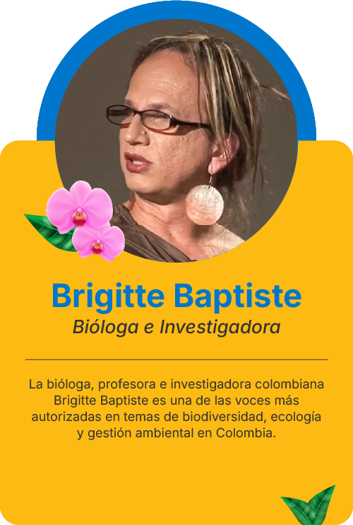 Tarjetas Conferensistas ALPZABrigitte Baptiste