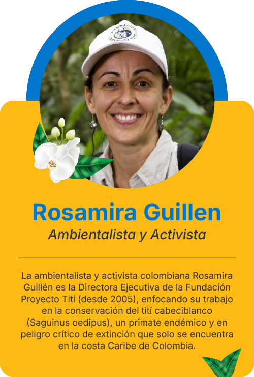 Tarjetas Conferensistas ALPZARosamira Guillen