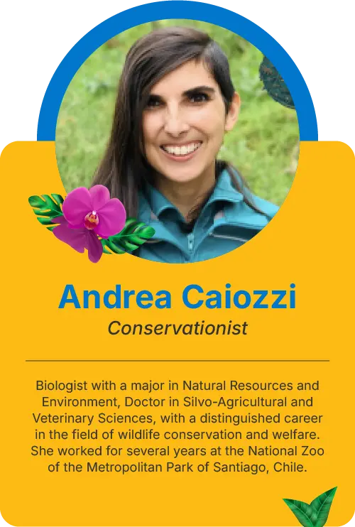 ALPZAAndrea Caiozzi ALPZ Conference Cards