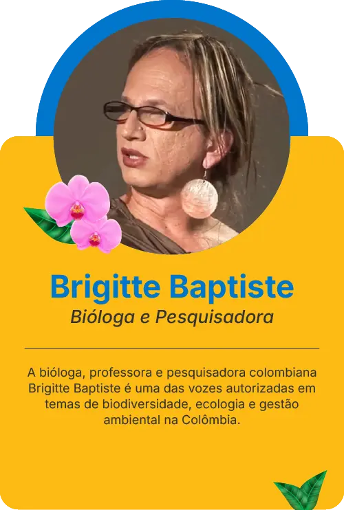 Cartões de conferência da ALPZABrigitte Baptiste