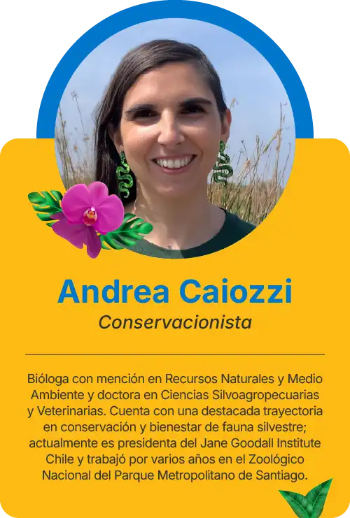 Andrea CaiozziAndrea Caiozzi 2