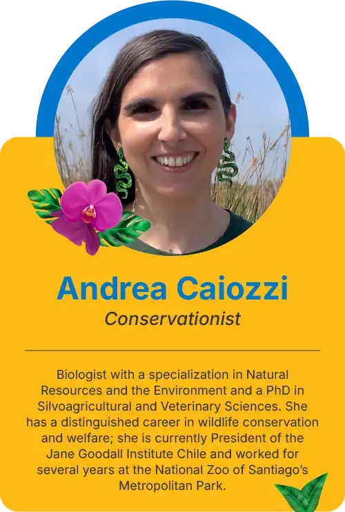 Andrea CaiozziAndrea Caiozzi 2