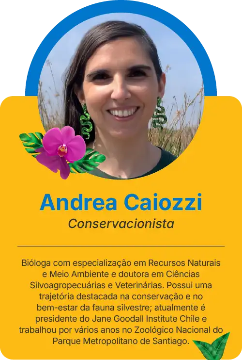 Andrea CaiozziAndrea Caiozzi 2