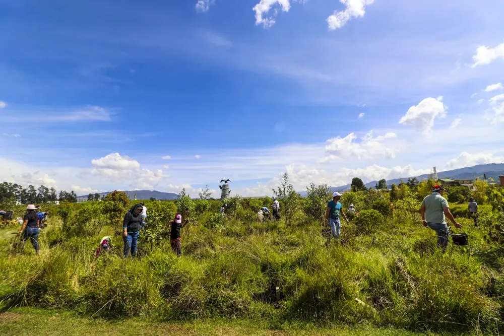 Participación territorial de la comunidad