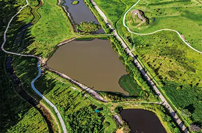 Restauración ecológica - Ecoparque Sabana