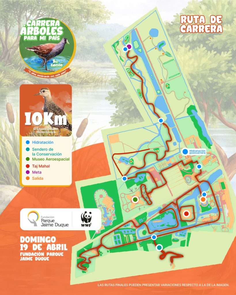 Ruta 10K - Carrera árboles para mi país