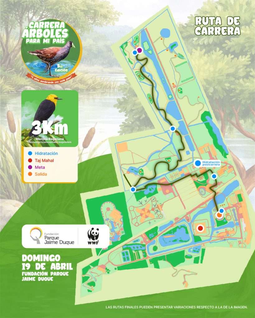 Ruta 3K - Carrera árboles para mi país