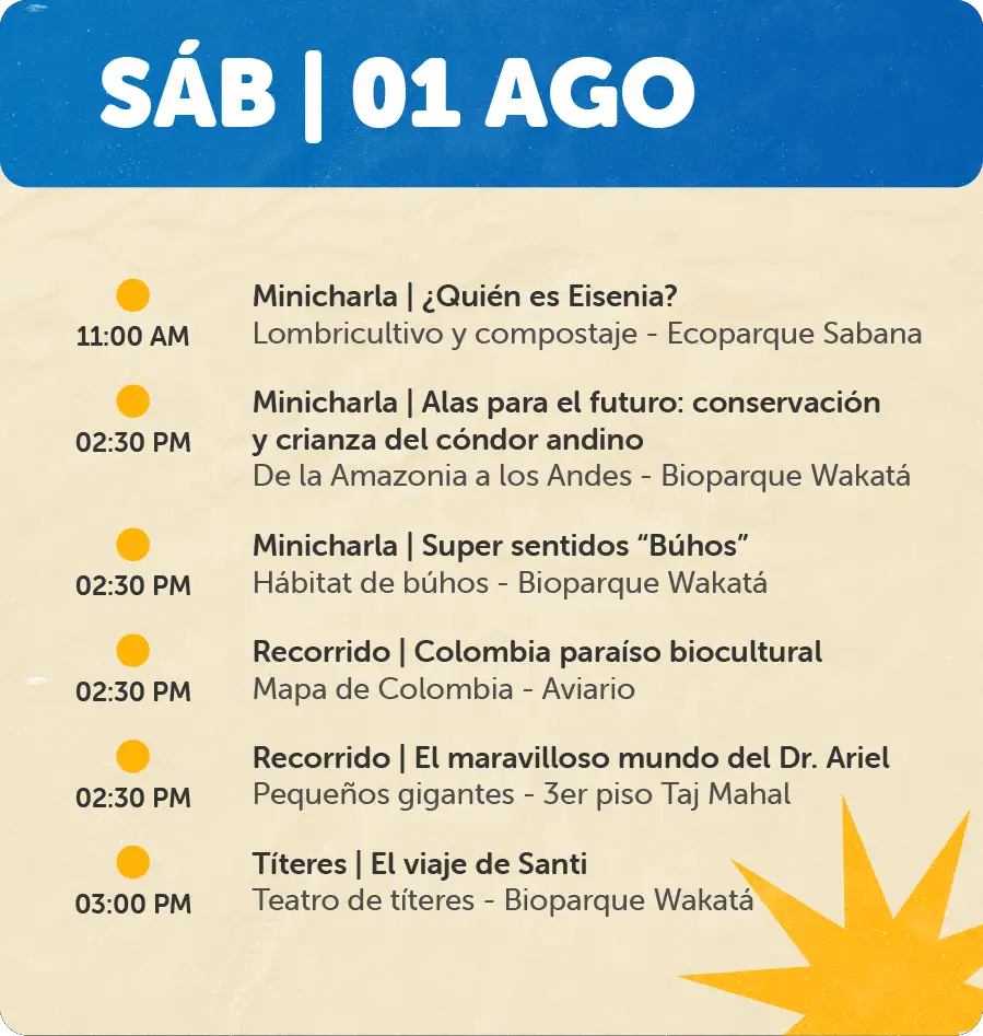 Programación 1 de Agosto