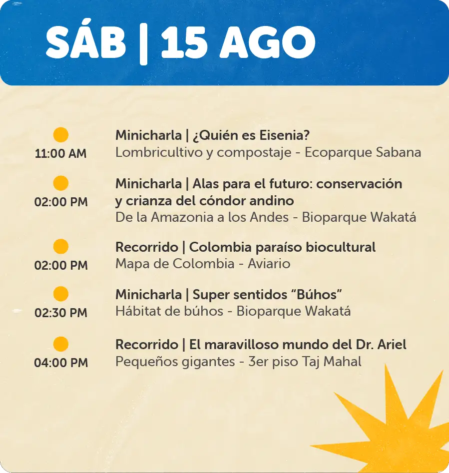 Programación 15 de Agosto