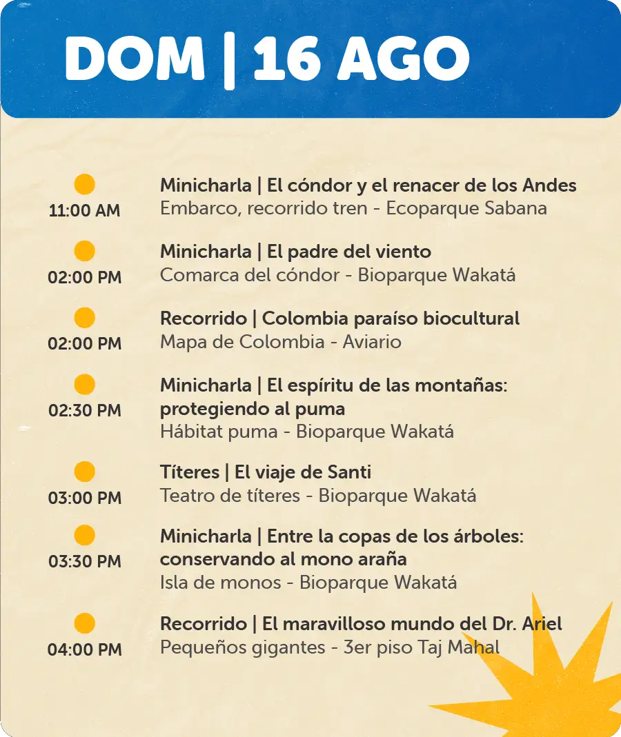 Programación 16 de Agosto