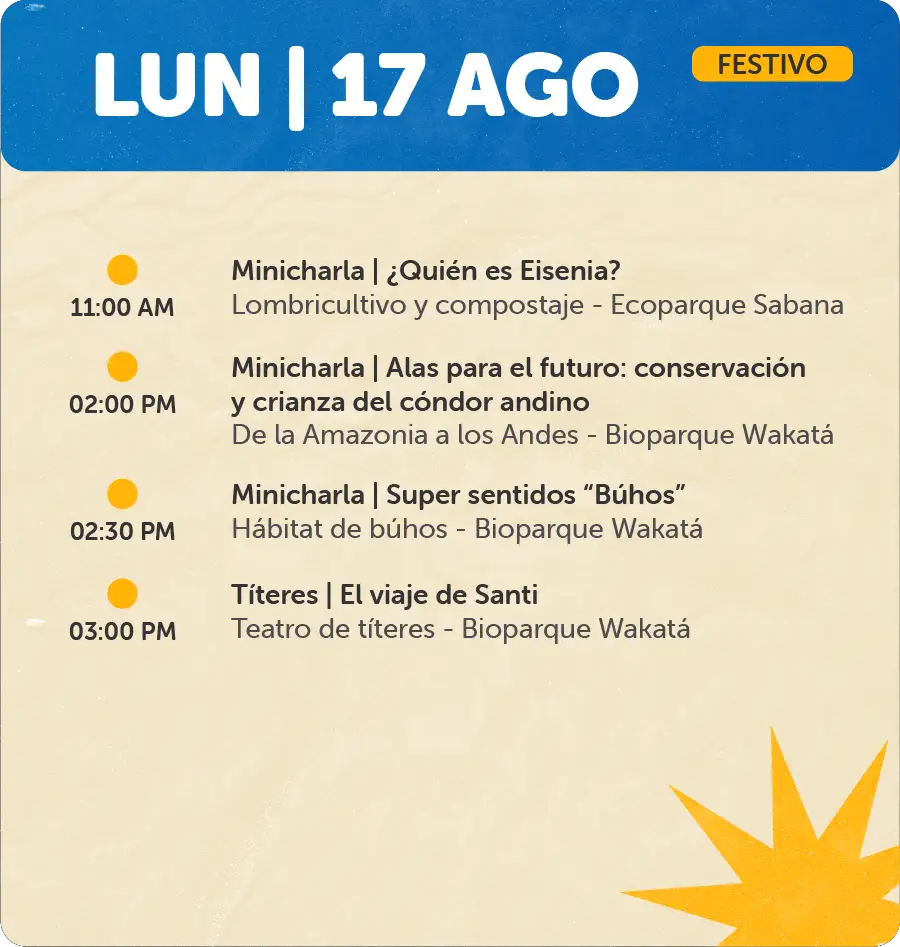 Programación 17 de Agosto