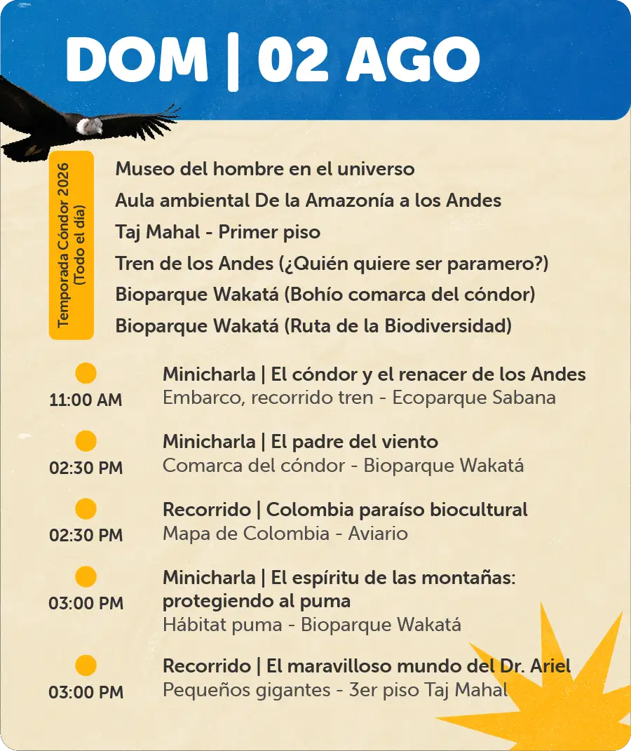 Programación 2 de Agosto