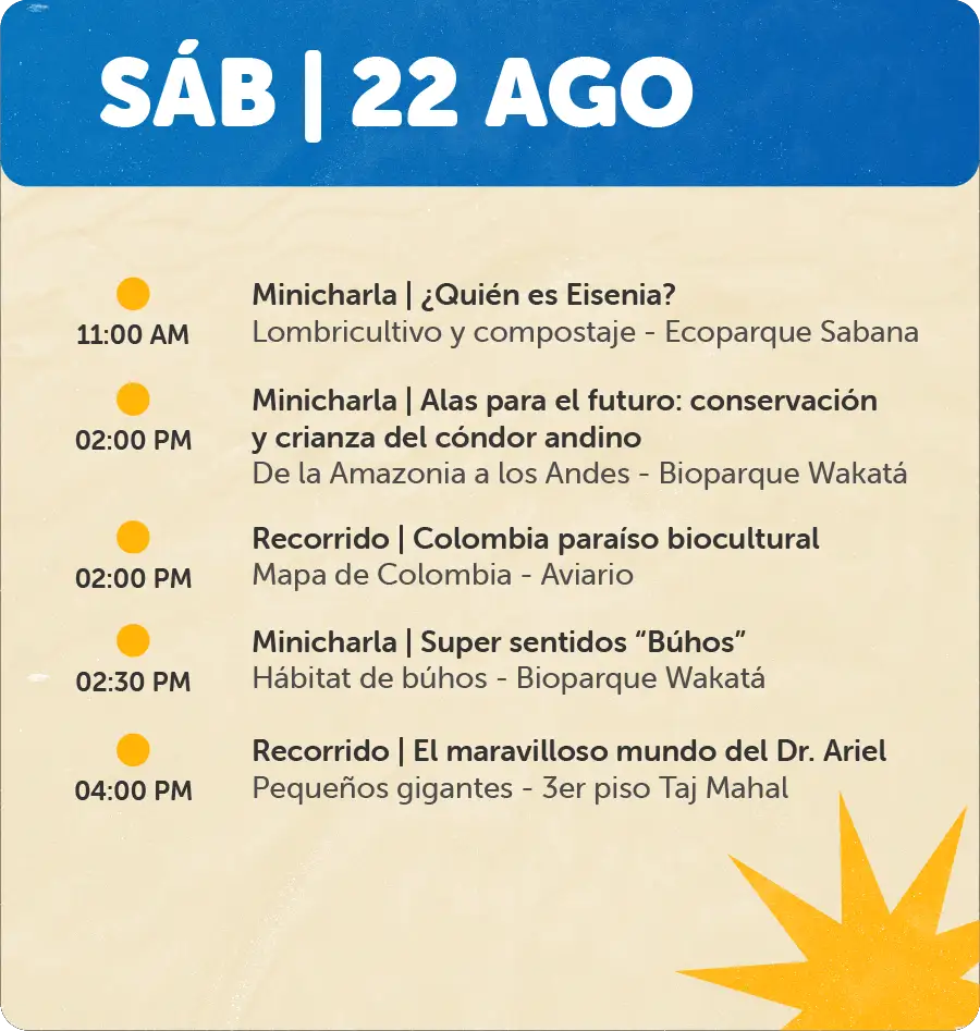 Programación 22 de Agosto