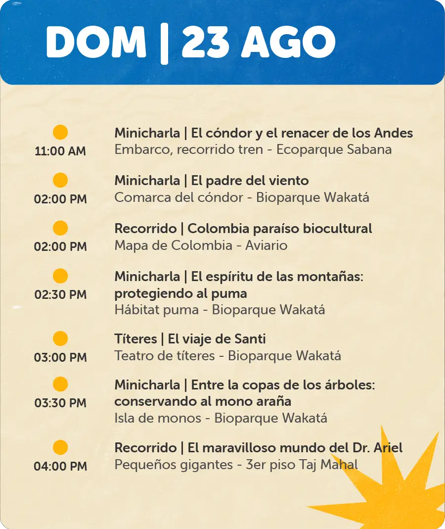 Programación 23 de Agosto