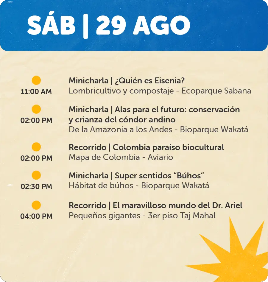 Programación 29 de Agosto