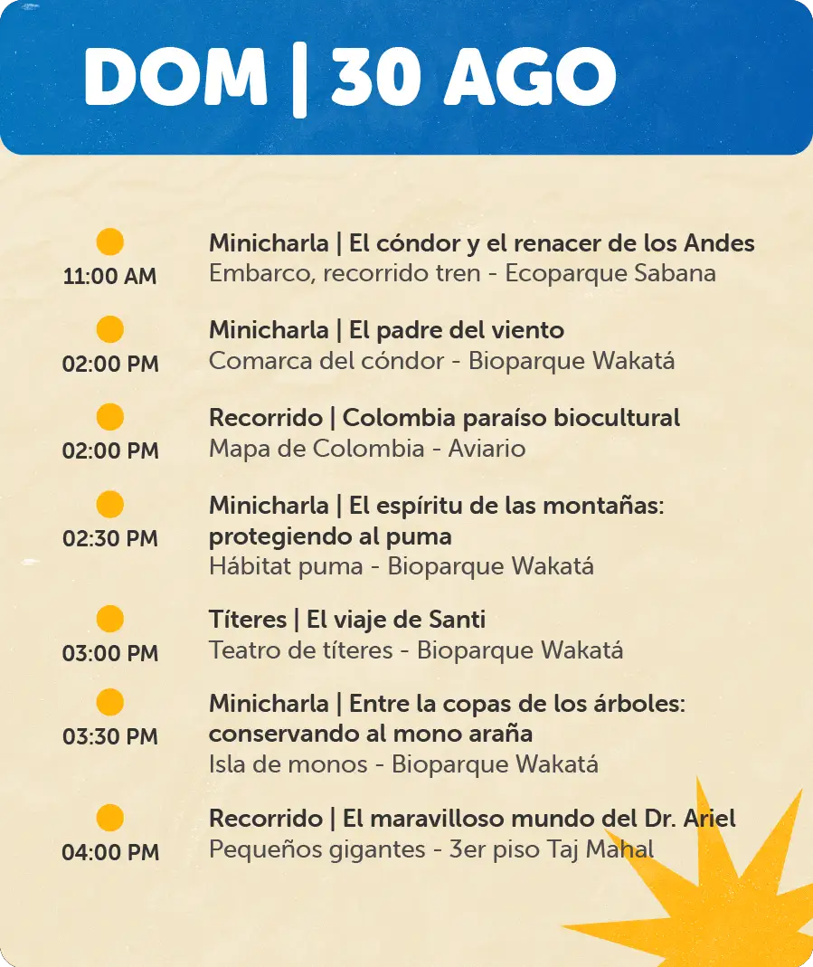 Programación 30 de Agosto