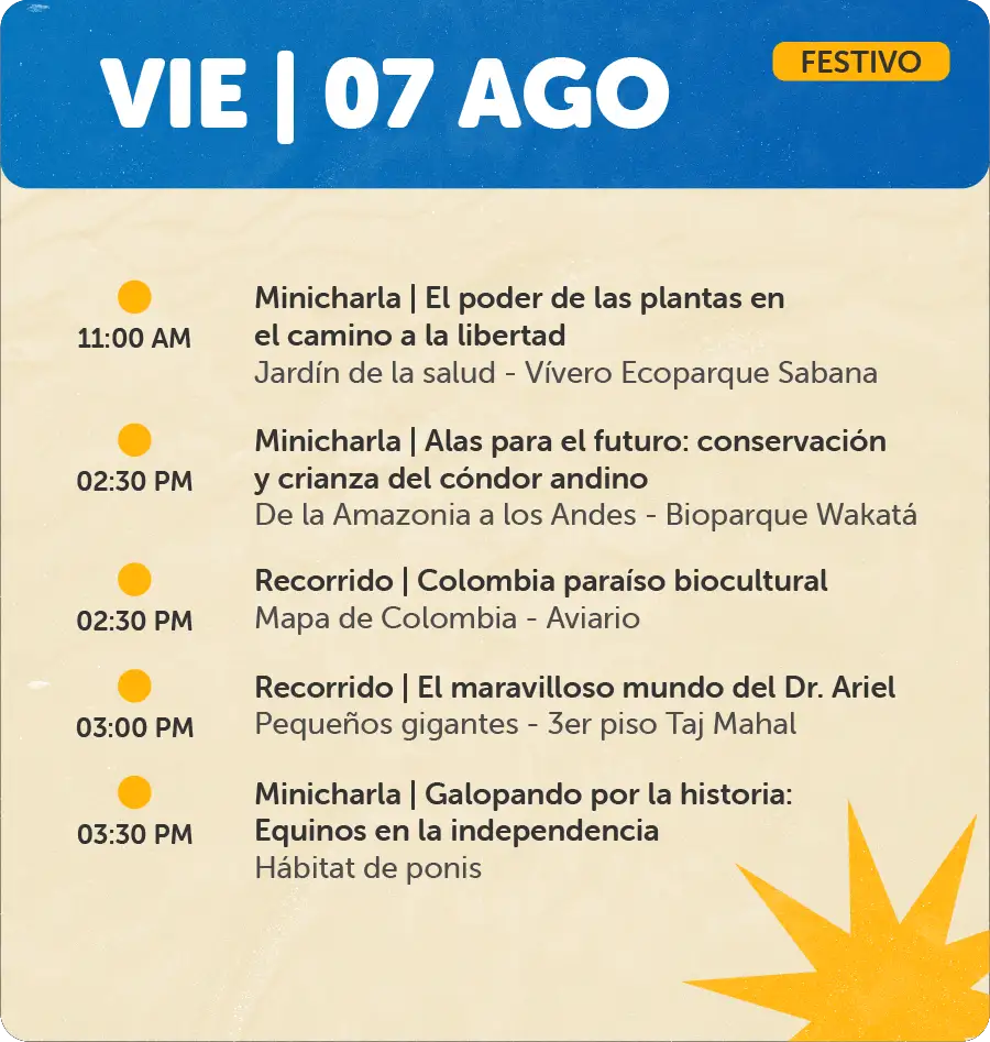 Programación 7 de Agosto