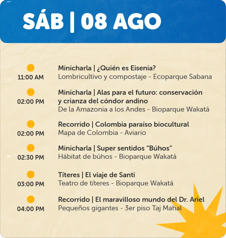 Programación 8 de Agosto