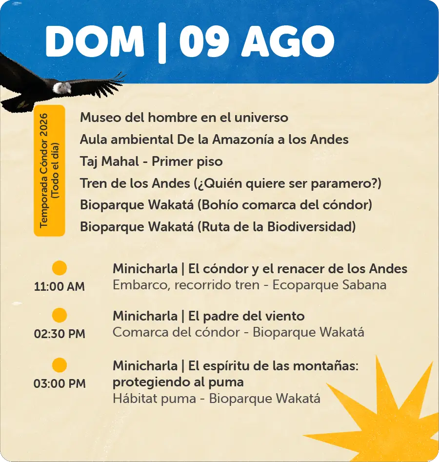 Programación 9 de Agosto
