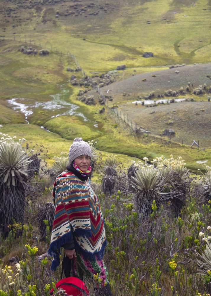 Vivero y siembras en páramo