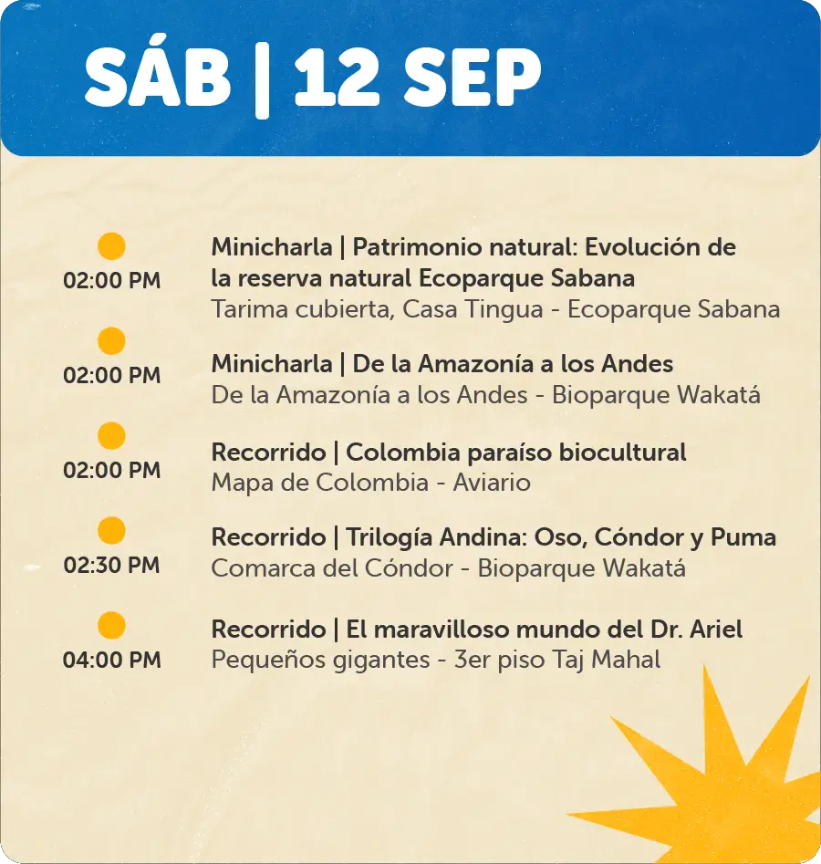 Programaciones fin se semana - 12 de Sep