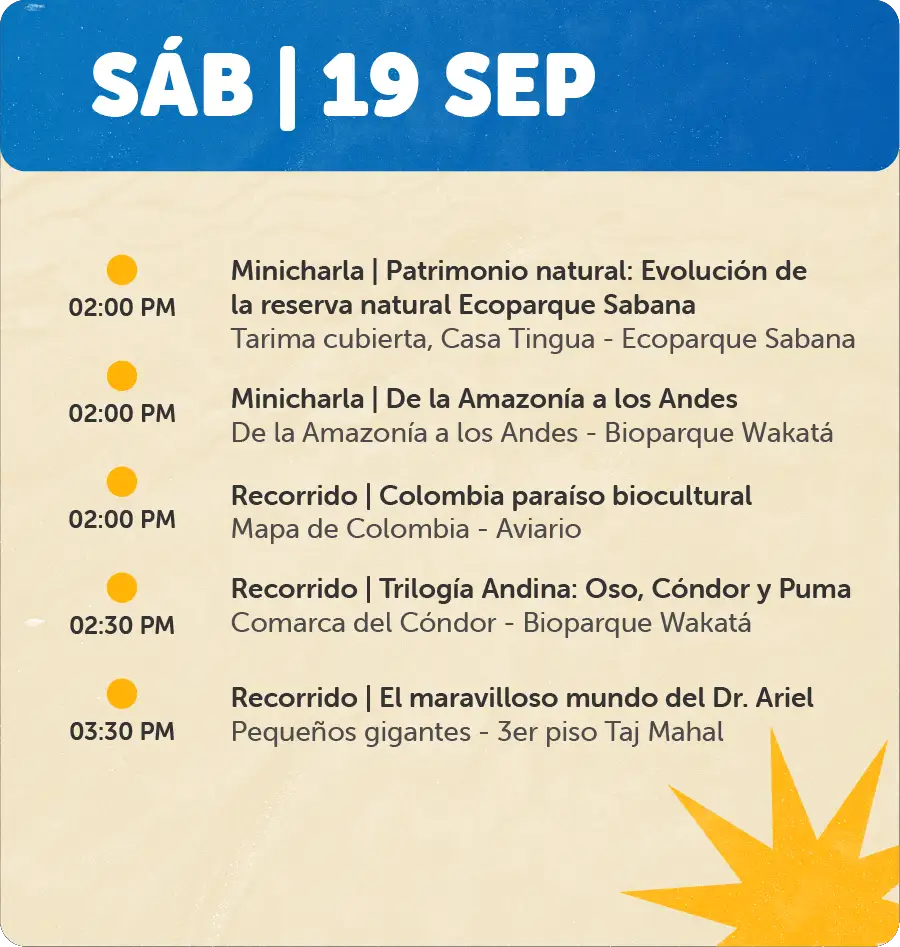 Programaciones fin se semana - 19 de Sep
