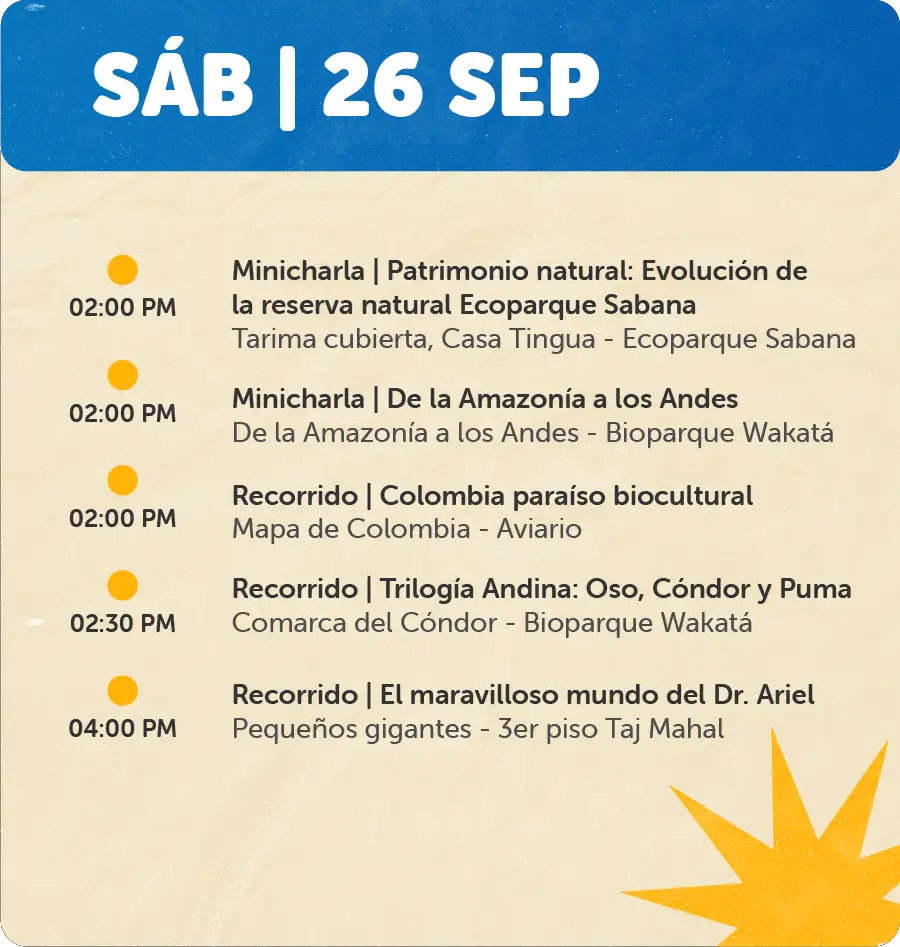 Programaciones fin se semana - 26 de Sep