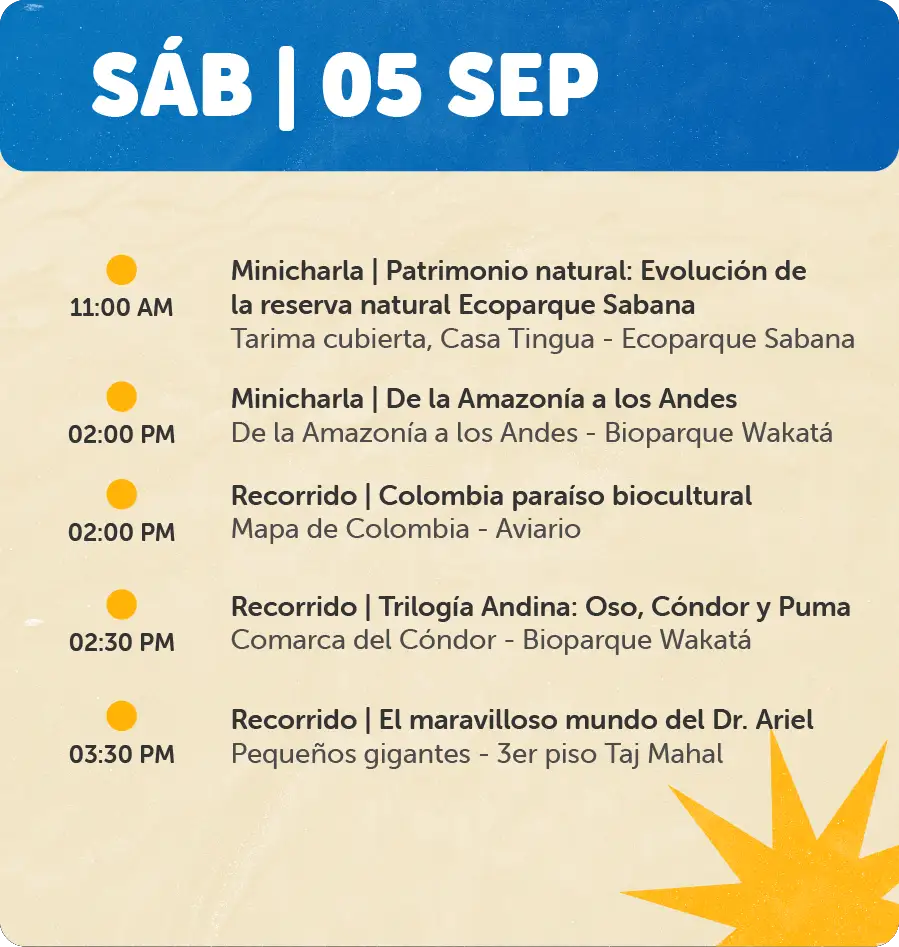 Programaciones fin se semana - 5 de Sep