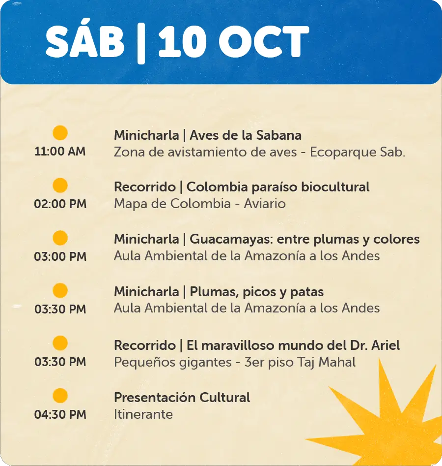 Programaciones para Página Web - Octubre10 de Oct